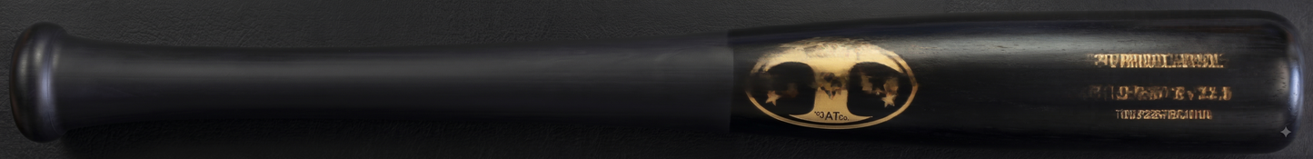 Pro Model RA13L Custom