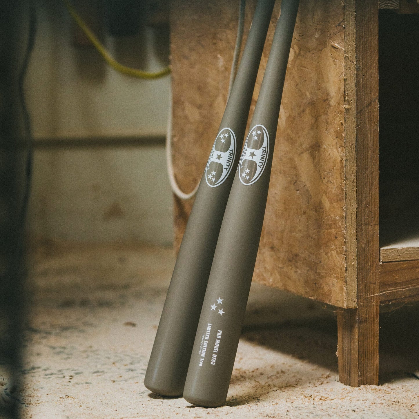 DT83 Dune bats in the Trinity workshop